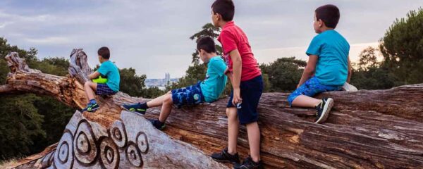 parc d'activités de Bordeaux